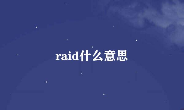 raid什么意思