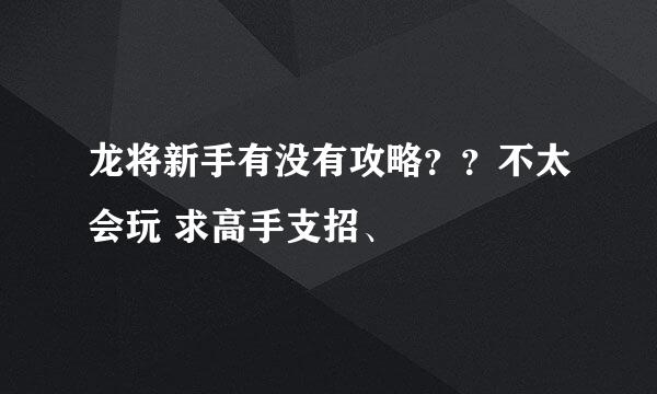 龙将新手有没有攻略？？不太会玩 求高手支招、