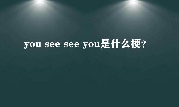 you see see you是什么梗？