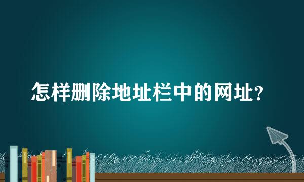 怎样删除地址栏中的网址？