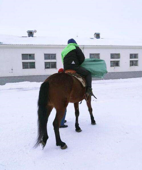 雪天骑马撞人逃逸将受到什么处罚？