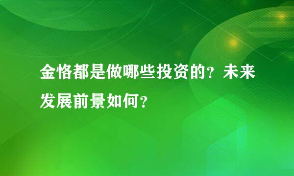 金恪都是做哪些投资的？未来发展前景如何？