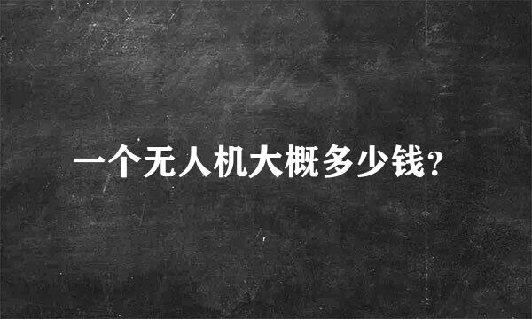 一个无人机大概多少钱？