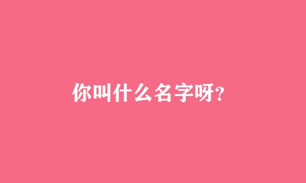 你叫什么名字呀？