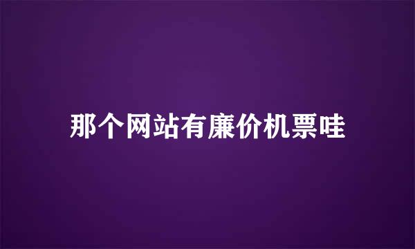 那个网站有廉价机票哇