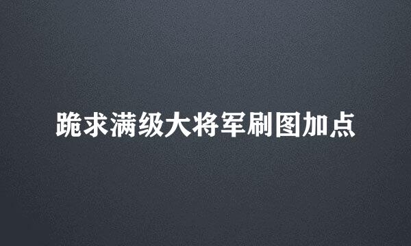 跪求满级大将军刷图加点