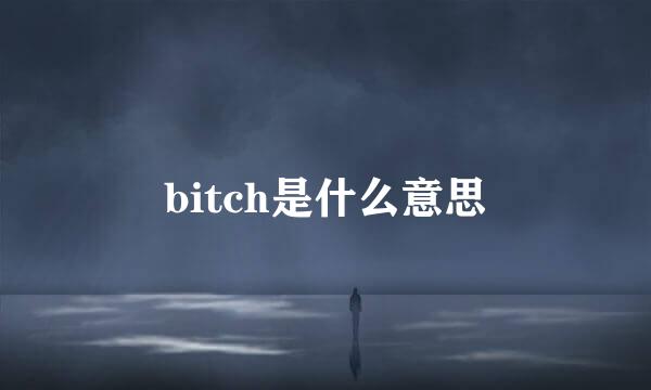 bitch是什么意思