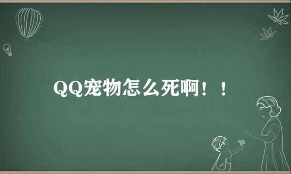 QQ宠物怎么死啊！！