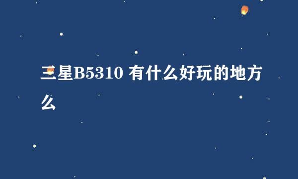 三星B5310 有什么好玩的地方么