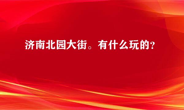 济南北园大街。有什么玩的？