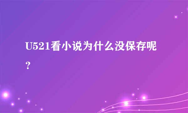 U521看小说为什么没保存呢？