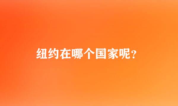 纽约在哪个国家呢？