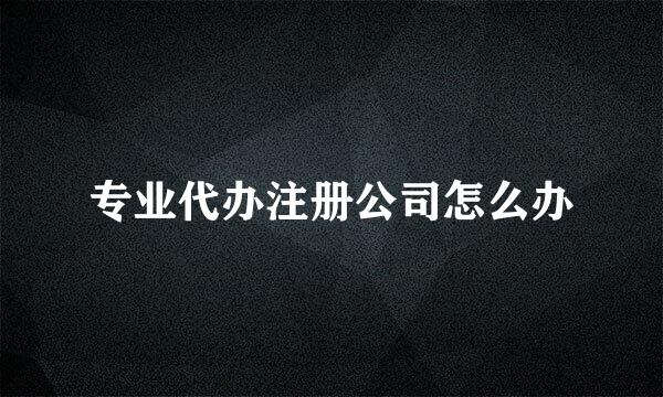 专业代办注册公司怎么办