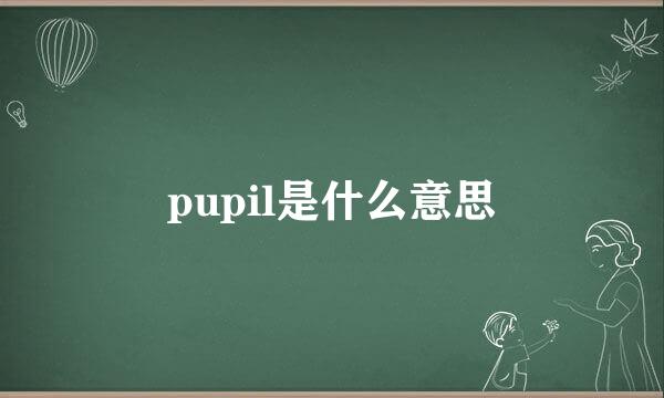 pupil是什么意思