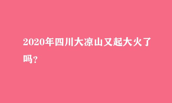 2020年四川大凉山又起大火了吗？