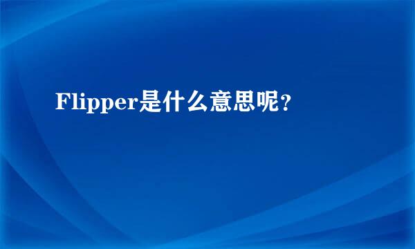 Flipper是什么意思呢？