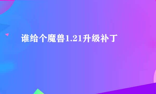 谁给个魔兽1.21升级补丁