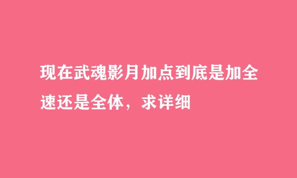 现在武魂影月加点到底是加全速还是全体，求详细