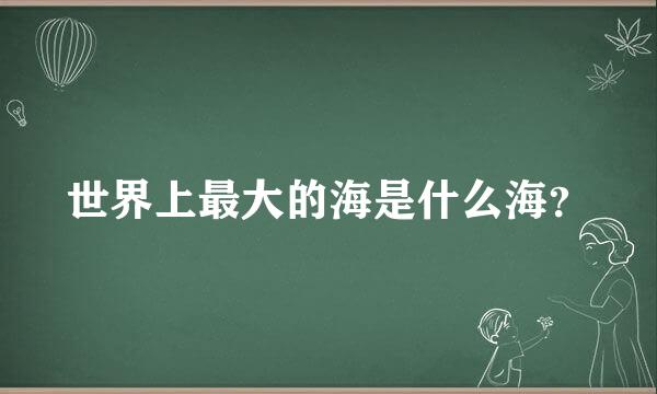 世界上最大的海是什么海？