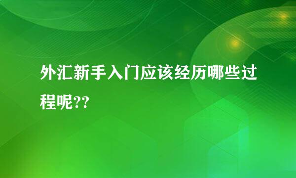 外汇新手入门应该经历哪些过程呢??