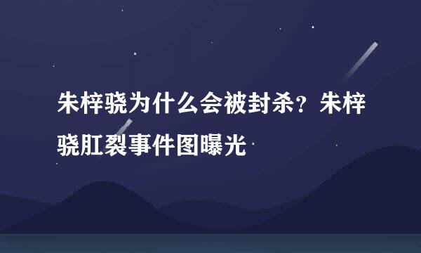 朱梓骁为什么会被封杀？朱梓骁肛裂事件图曝光