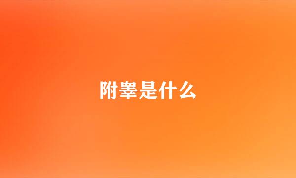 附睾是什么