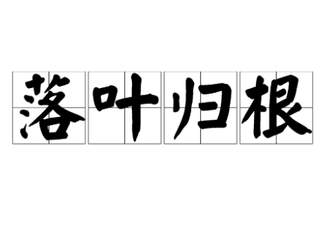 树高百尺落叶归根的意思是什么