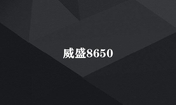 威盛8650