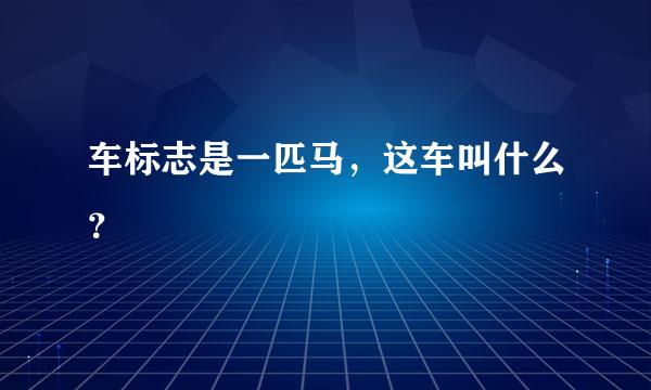 车标志是一匹马，这车叫什么？