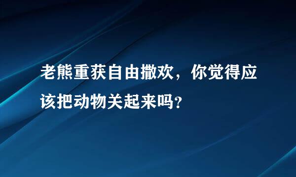 老熊重获自由撒欢，你觉得应该把动物关起来吗？