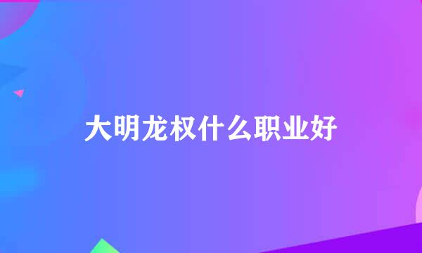 大明龙权什么职业好