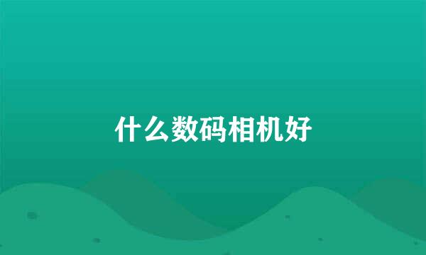 什么数码相机好