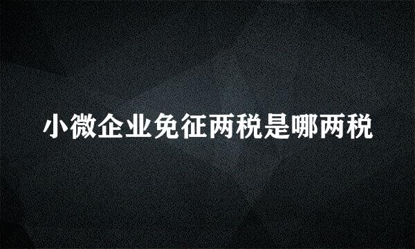 小微企业免征两税是哪两税