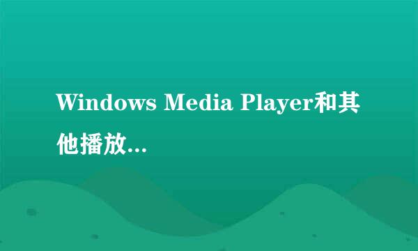 Windows Media Player和其他播放器的问题！