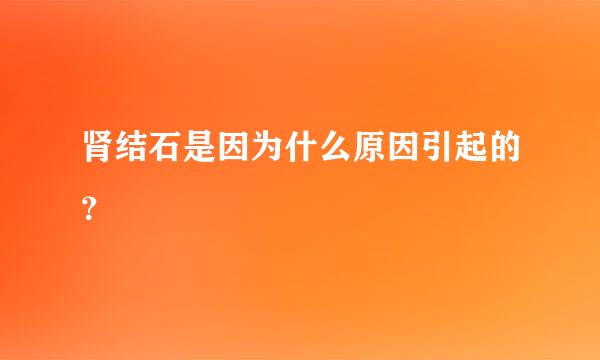 肾结石是因为什么原因引起的？