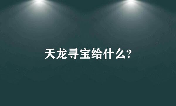 天龙寻宝给什么?