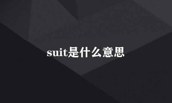 suit是什么意思