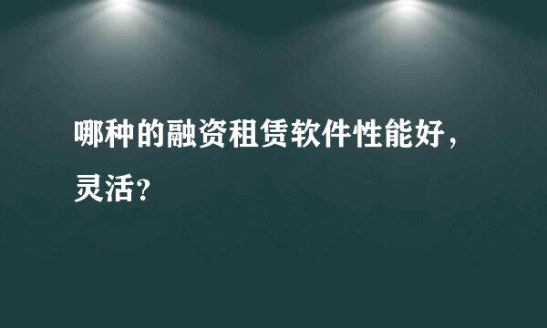 哪种的融资租赁软件性能好，灵活？