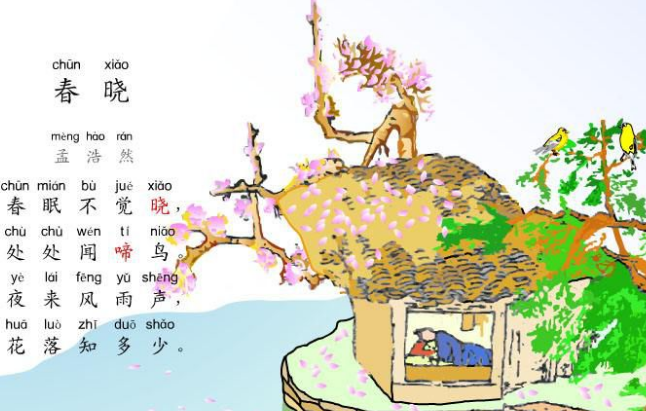 花落知多少什么意思