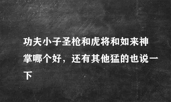 功夫小子圣枪和虎将和如来神掌哪个好，还有其他猛的也说一下