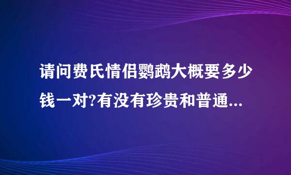 请问费氏情侣鹦鹉大概要多少钱一对?有没有珍贵和普通的区别?