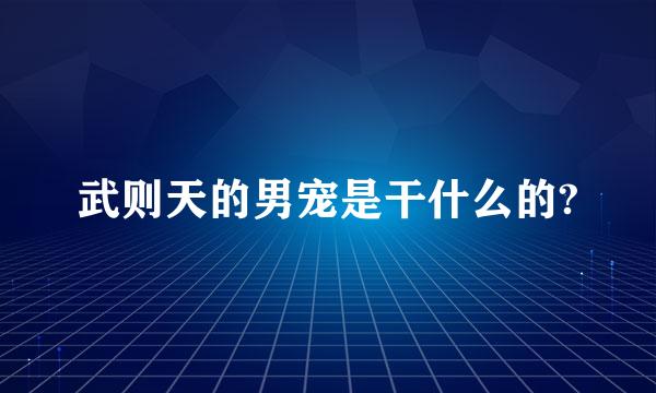 武则天的男宠是干什么的?