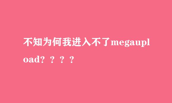 不知为何我进入不了megaupload？？？？