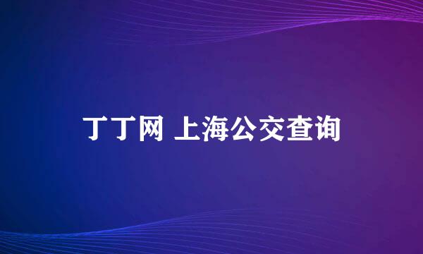 丁丁网 上海公交查询