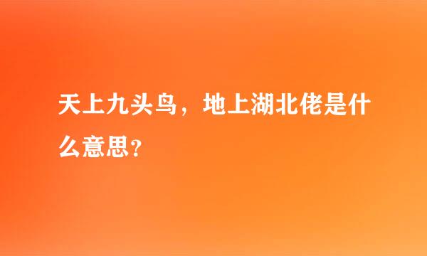 天上九头鸟，地上湖北佬是什么意思？