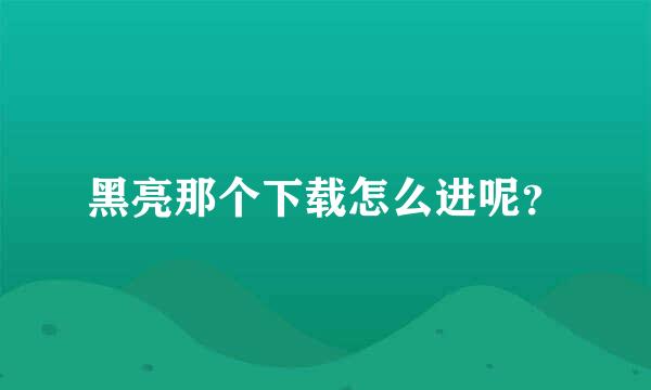 黑亮那个下载怎么进呢？