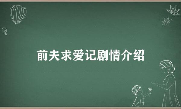 前夫求爱记剧情介绍