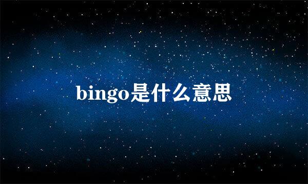 bingo是什么意思