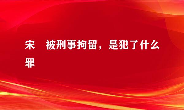 宋喆被刑事拘留，是犯了什么罪