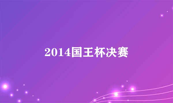 2014国王杯决赛